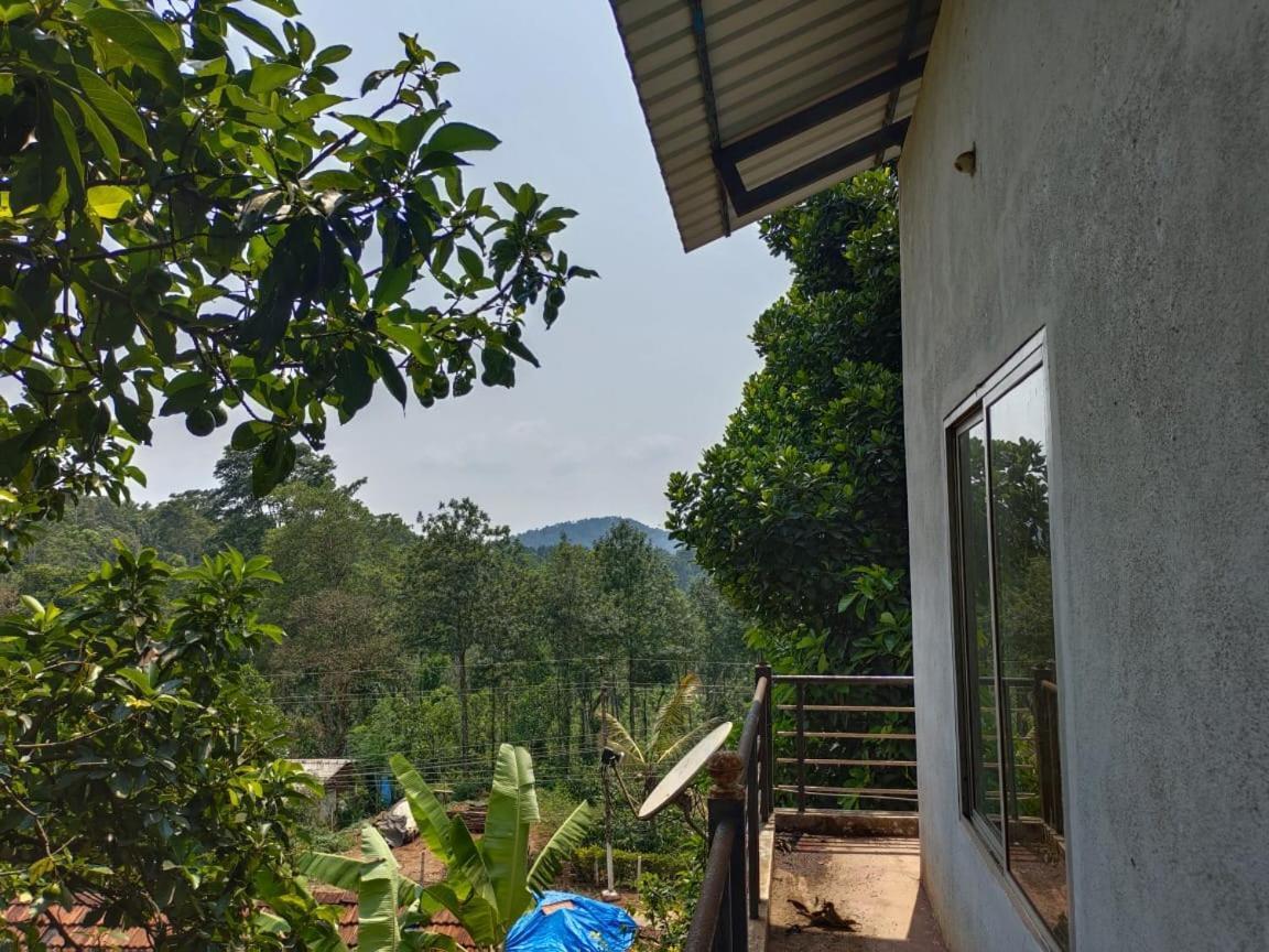 Green Land Estate Homestay 5 Rooms With Garden View Madikeri Eksteriør bilde