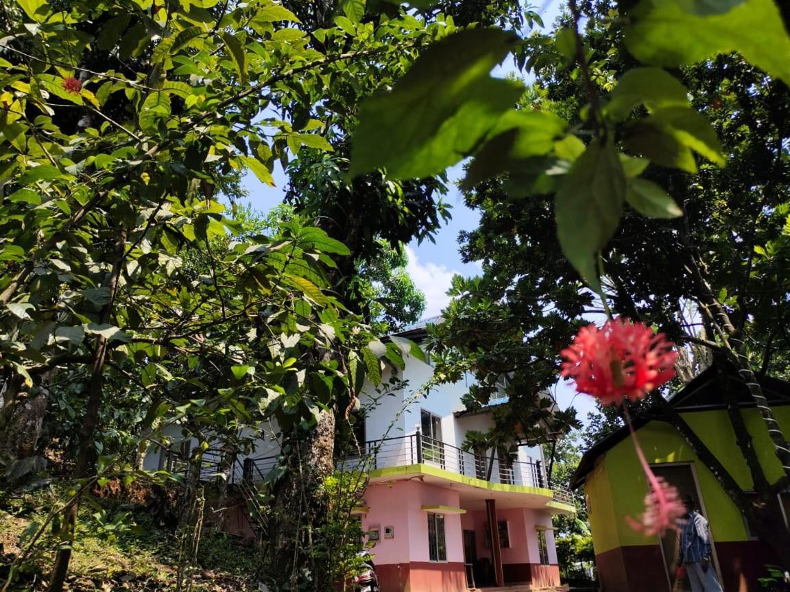 Green Land Estate Homestay 5 Rooms With Garden View Madikeri Eksteriør bilde
